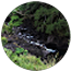 nor-profile
